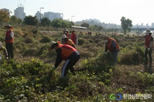 2012년 유해식물 제거활동