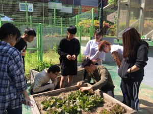 송파청소년수련관 대안학교 한들 학생들이 외부 활동을 하고 있다