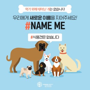 동물보호단체 휴메인 소사이어티 인터내셔널이 식용견에 새로운 이름 선물하는 #NameMe 캠