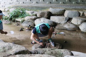 프로그램에 참여한 어린이이가 서울숲을 탐방하며 물 속 생물을 관찰하고 있다