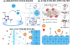 MOFs 분리막 공정을 통한 유기물 전극 이동의 선택적 제어