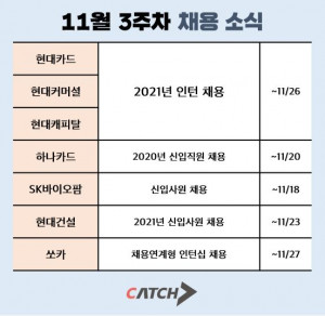 11월 3주차 채용소식