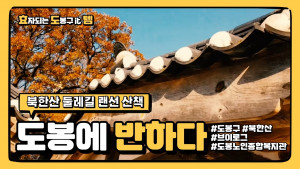 도봉노인종합복지관과 함께하는 랜선 산책, 도봉에 반하다