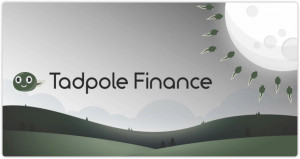 새롭게 출시된 분산형 금융 플랫폼 ‘테드폴 파이낸스’