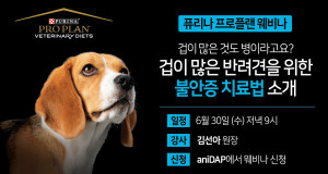 퓨리나 프로플랜 웨비나 포스터