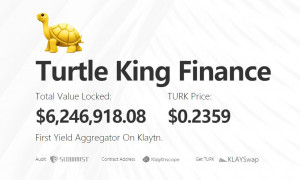 터틀킹 파이낸스가 출시 한달 만에 예치 자산 620만달러를 돌파했다