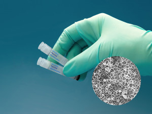 아퓨어스의 프라이머리 셀 ‘간세포(Hepatocyte)’