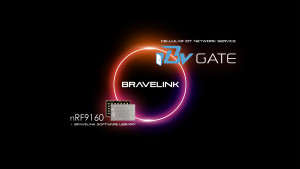 브레이브링크(BraveLINK) 라이브러리는 nRF9160 애플리케이션 메모리에서 사전 프