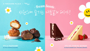프리미엄 디저트 카페 투썸플레이스가 ‘프로즌 디저트’를 출시한다