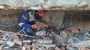 튀르키예 지진 현장에서 하이탑(HAYTAP) 활동가가 강아지를 구조하고 있다