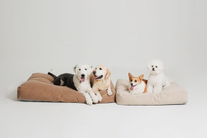 플러스하트 라이프의 프리미엄 애견매트