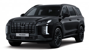 현대자동차 2024 팰리세이드 블랙 에디션