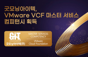 굿모닝아이텍이 VCF(VMware Cloud Foundation) 부문 마스터 서비스 컴피