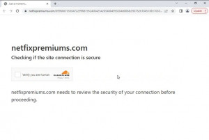 가짜 보안 접속 확인 페이지