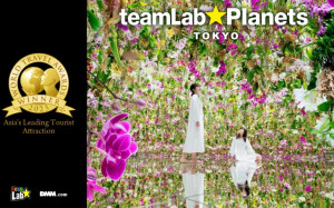 teamLab Planets, a body immersive museum in Toyosu
