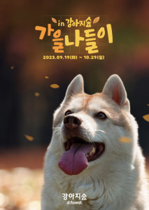 강아지숲 시즌 이벤트 ‘가을나들이’ 포스터