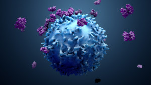 T cells helping immune system to fight cancer cells in response to immunotherapies (Photo: Business 