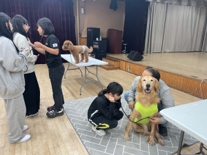 동물교감교육 ‘나답개(犬), 행복하개(犬)’에 참여한 방과후아카데미 청소년들이 반려견의 심