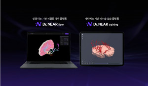 신경과 및 신경외과 의사들을 위한 뇌혈류 예측 플랫폼 ‘닥터 니어 플로우(Dr. NEAR 