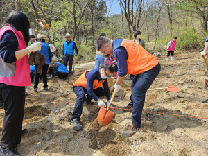 충북 제천시자원봉사센터에서 기업연합자원봉사단과 함께 상수리나무 묘목 500본을 심고 있다(