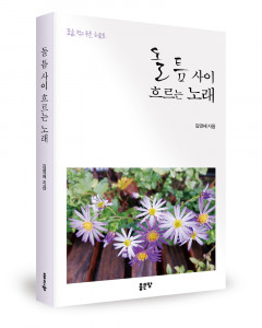 김영배 지음, 좋은땅출판사, 312쪽, 1만7000원