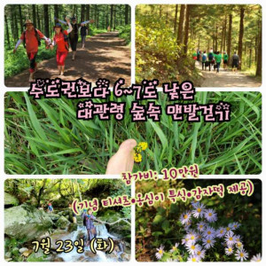 고기압과 저기압이 만나는 지역이라 젖산 분해가 잘 돼 숨쉬기 좋고 편안한 대관령 국민의숲에