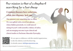 The parable of the lost sheep mirrors our journey to find a solution for Duchenne Muscular Dystrophy (DMD), a rare disease. Our global interdisciplina...