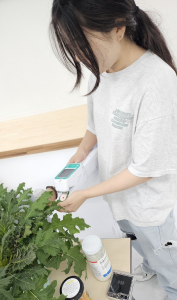 스마트팜 기초 실습 교육에 참가한 학생이 기공전도도 측정기로 잎의 증산 속도와 기공의 열림 정도를 측정하고 있다(출처: 충청권역 충북지역 R-WeSET사업단)