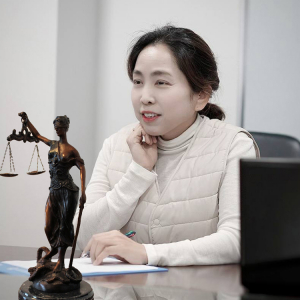 로펌 윈앤윈 대표 채혜선 변호사. 대한변협 도산법 전문변호사 등록