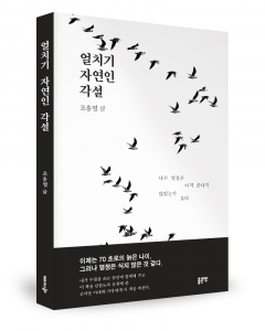 조홍열 지음, 좋은땅출판사, 208쪽, 1만7000원