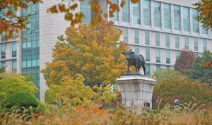 건국대 가을 캠퍼스