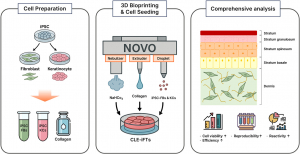 3D바이오프린팅 기반 유도만능줄기세포(iPSCs) 전층 인공피부(CLE-iFTs) 제작