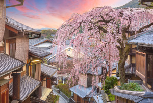 교토 히가야시야마 구역