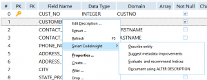 IBConsole에서 테이블의 한 필드에 대해 Smart CodeInsight 기능을 사용하는 화면