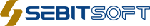 새빛소프트 Logo