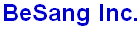 BeSang Inc Logo