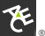 에이스아메리칸화재해상보험 Logo