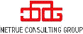 넷트루컨설팅그룹 Logo