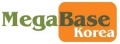 메가베이스코리아 Logo