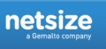 Netsize Logo