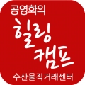 공영화의 선녀바위 힐링캠프 Logo