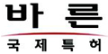 국제특허 바른 Logo