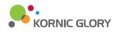 코닉글로리 Logo