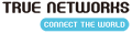 트루네트웍스 Logo