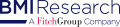 BMI Research Logo