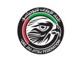 UAE Jiu-Jitsu Federation Logo