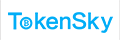 토큰스카이 조직위원회 Logo