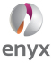 Enyx Logo