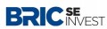 BRIC HOLDING Logo