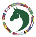 Global Equestrian Group (GEG) Logo